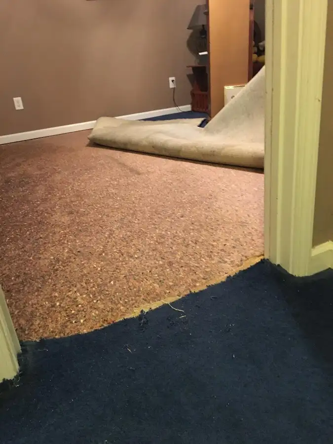 Carpet pad removal revealing water damage during Water Mitigation Services in Alpine