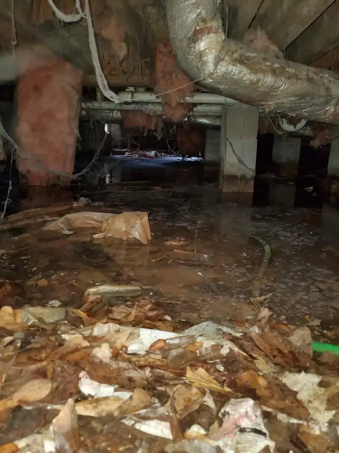 Crawl space flood assessment for Commercial Water Damage Restoration in Alpine