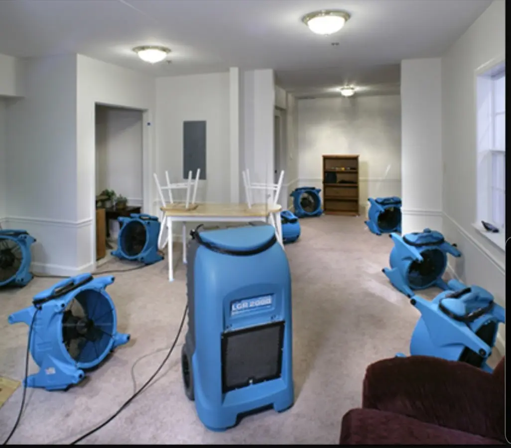 Air movers and dehumidifier setup for Water Extraction & Removal in Alpine