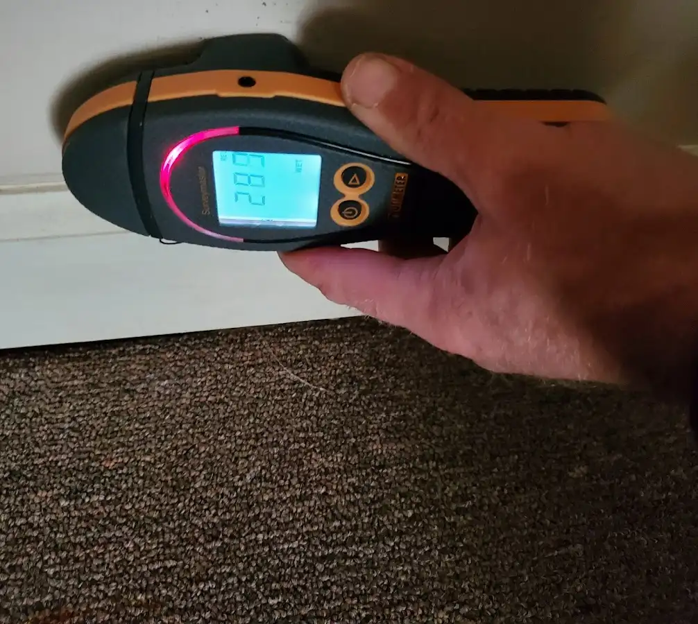 Moisture detection at baseboard during Sewage Cleanup & Sanitation in Alpine